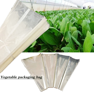 Plastiktransparente Mehrzweckverpackung für Gemüse und Obst Frischgeschnittene Blumen