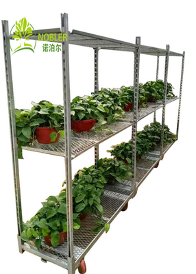 Versatile Stapelbare Frachtcontainer mit mehreren Regalen