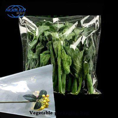 Mehrfache Spezifikationen Gemüse Verpackungstüte angepasst mit stark und langlebig