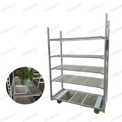Shelf Height 25cm Dutch Flower Trolley Offering 100KG Storage Capacity per Shelf and PP Wheel for Smooth Flower Delivery
