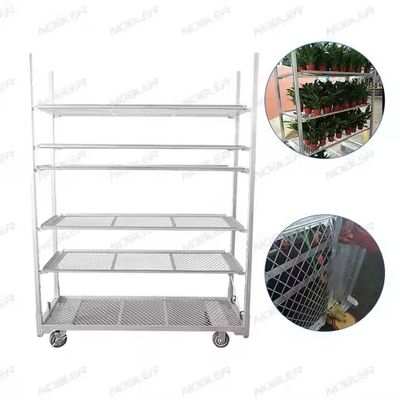 100KG shelf capacity flower trolley offering 25cm shelf height optimized for professional flower arrangement transport