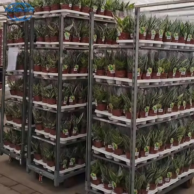 Hochlastträger Gewächshaus Dänischer Blumenwagen Pulver beschichtet