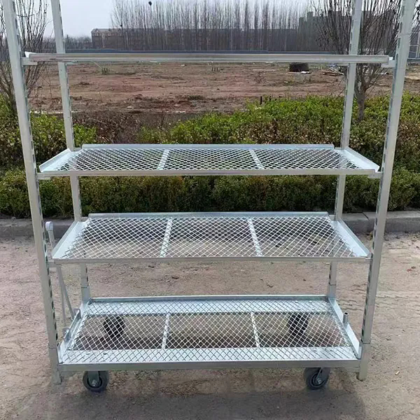 Hot Dip Galvanizing PP Caster 1350*565mm Landwirtschaftliche Pflanzungen Blumenwagen Dänische Trolleys für Gewächshaus Erntewagen