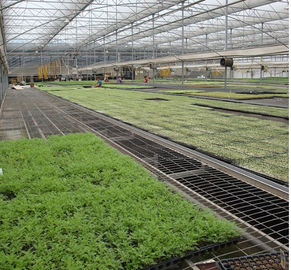 Blumen-Gemüsebau-Gewächshaus wachsen Bett-heißes Bad-galvanisiertes Stand-Material